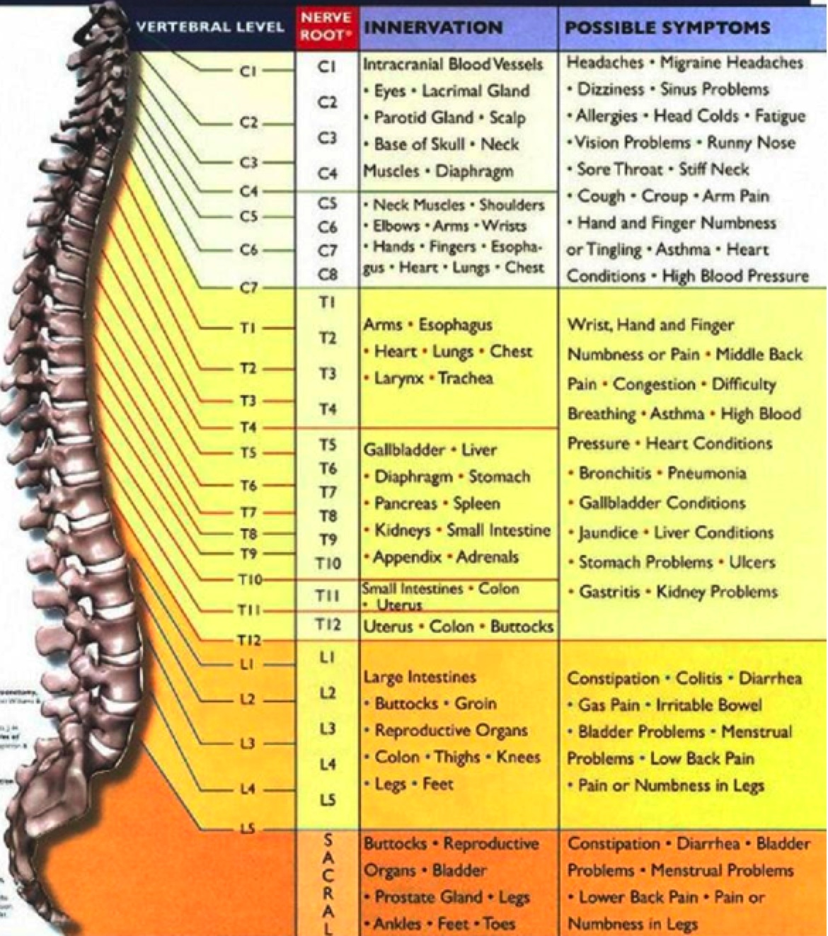 Chiropractic Symptoms Chart
